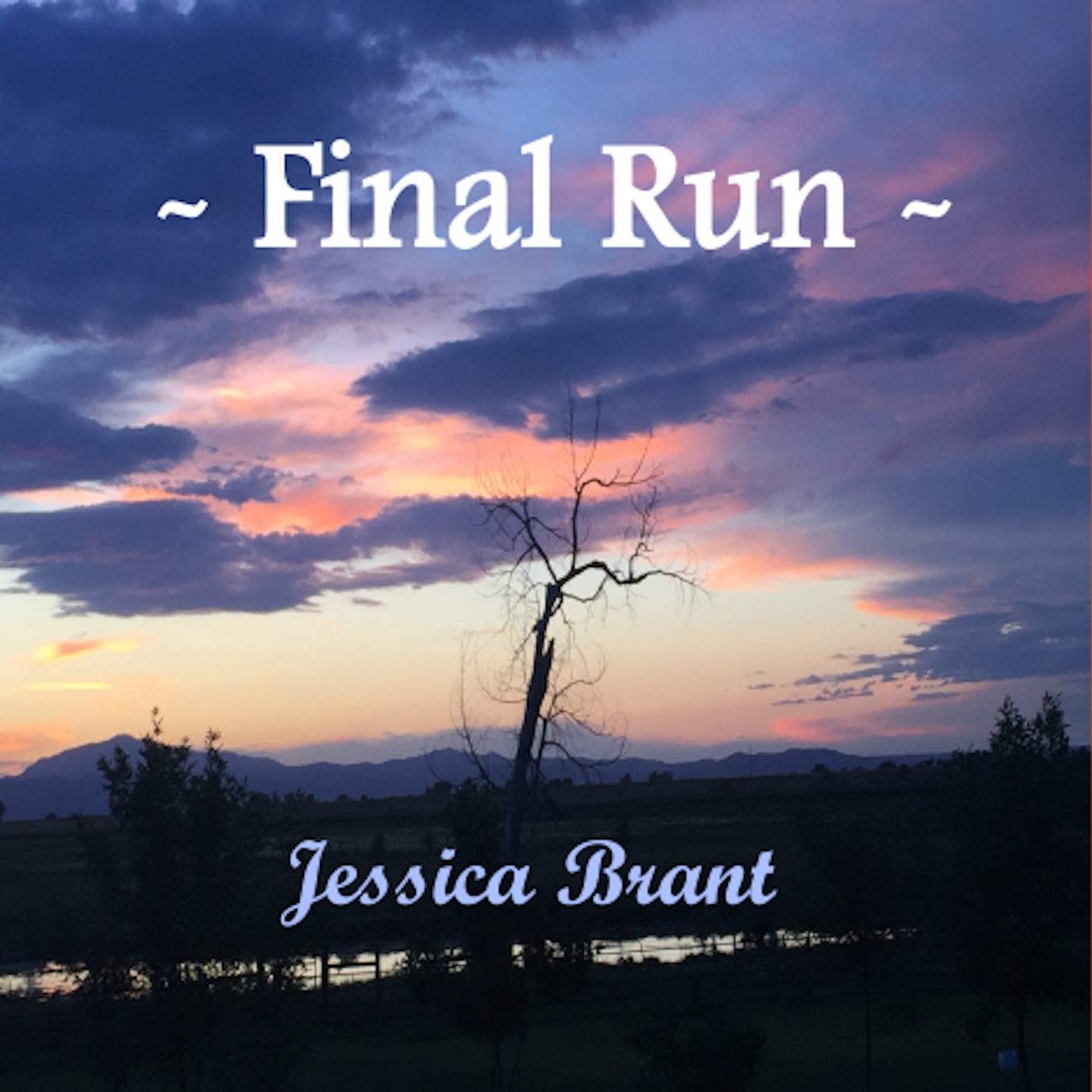 Final Run CD image.